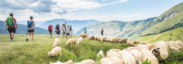 Albanische Alpen oder die Verfluchten Berge? Wie man sie erwandert!