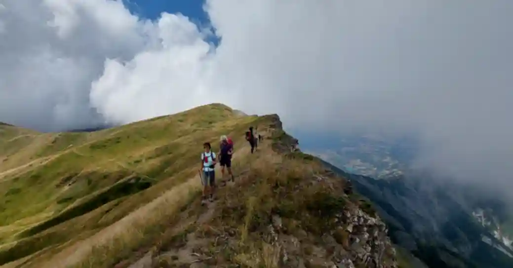High Scardus Trail 2024